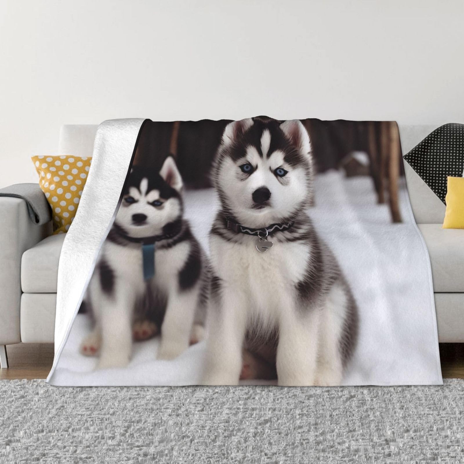Fodpand Black Adorable Huskies Flannel Blanket 80"X60" - Ultra-Soft Lightweight Throw Blanket For Bed, Sofa, And Couch - Luxury Air Conditioning Blankets - Cozy Warm Blankets For All Seasons
