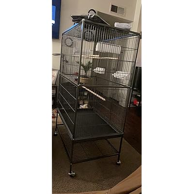 parrot cage kijiji