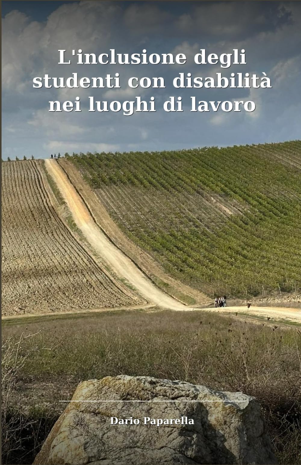 L'inclusione degli Studenti con disabilità nei luoghi di lavoro