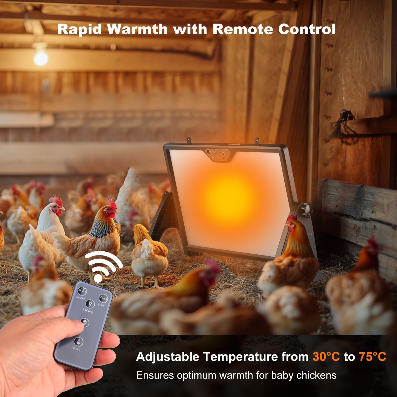 Placa calefactora pollitos 40×30 cm – Calefacción gallinero calor constante 30–75°C, doble cara, impermeable, termostato, rotación 360°. Para criadoras, incubadoras. Placa calor mascotas