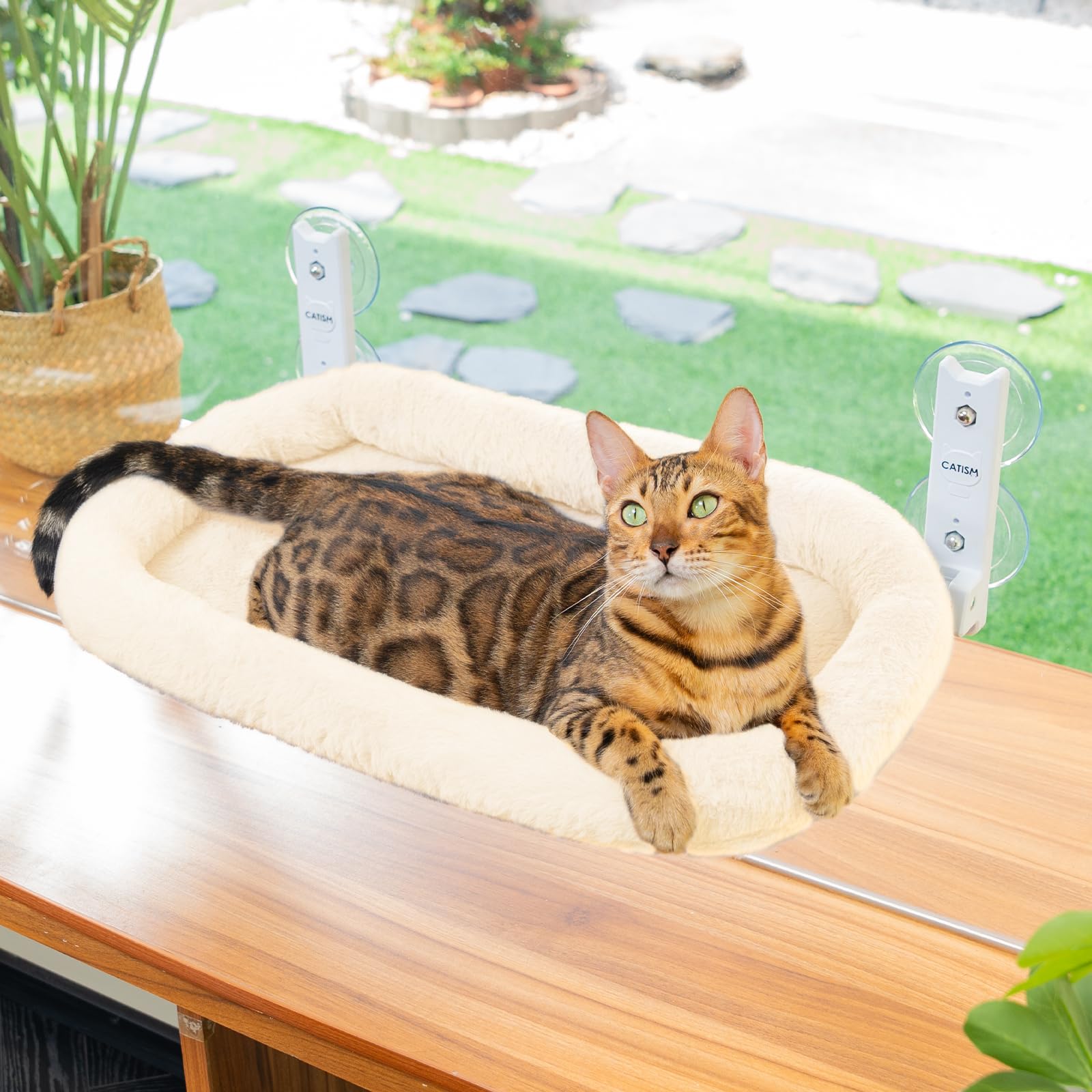 CATISM Hamac Pliable pour Chat avec Coussin Jusqu'à 20 kg, 52 x 30 cm, Rembourrage en Tissu Double Face Lavable, Lit de Fenêtre, Rebord de Fenêtre, Lit de Chat, Beige