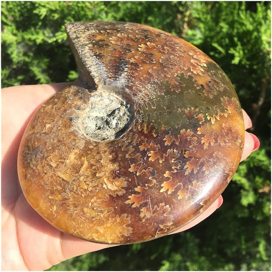 極希少 美品 クリストフル マルメゾン ソースレードル小 1点