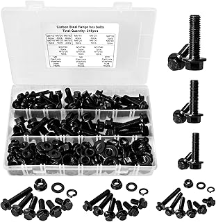 CYLBAQ 248PCS Flanged Hex Bolts, M6 M8 M10 Flange Hexagon Screws Bolts Nuts, Carbon Steel M6-1.0 M8-1.25 M10-1.5 Nut and Bolt Assortment Kit Set with Storage Case