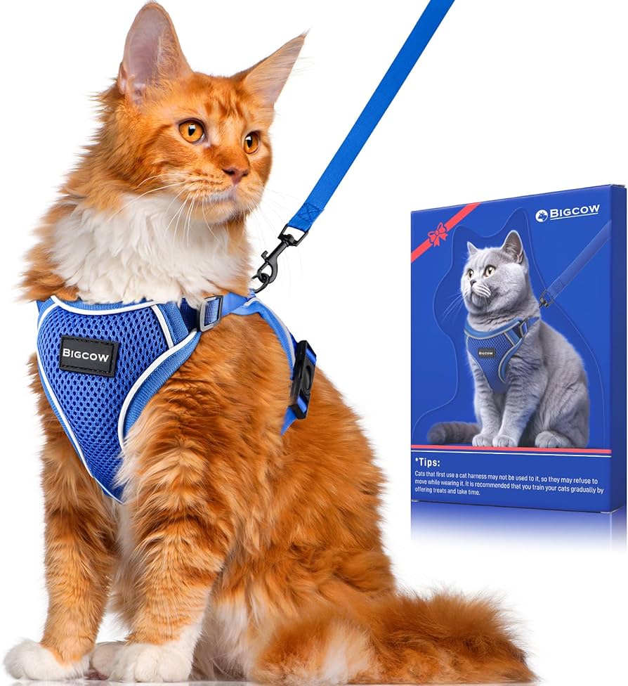 Amazon | Bigcow 猫 猫用 リード セット 猫牽引ロープ リード 猫