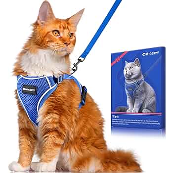 Amazon | Bigcow 猫 猫用 リード セット 猫牽引ロープ リード 猫