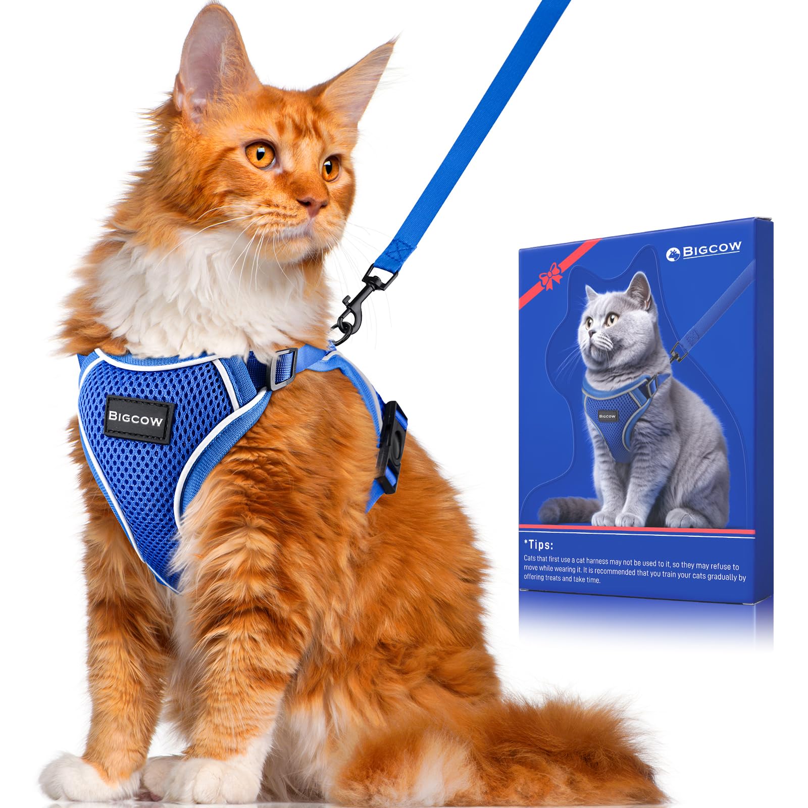 ストロベリー猫猫ページ ストロベリー猫猫ページ Amazon | 【公式】BRILLIANT 薬屋*の