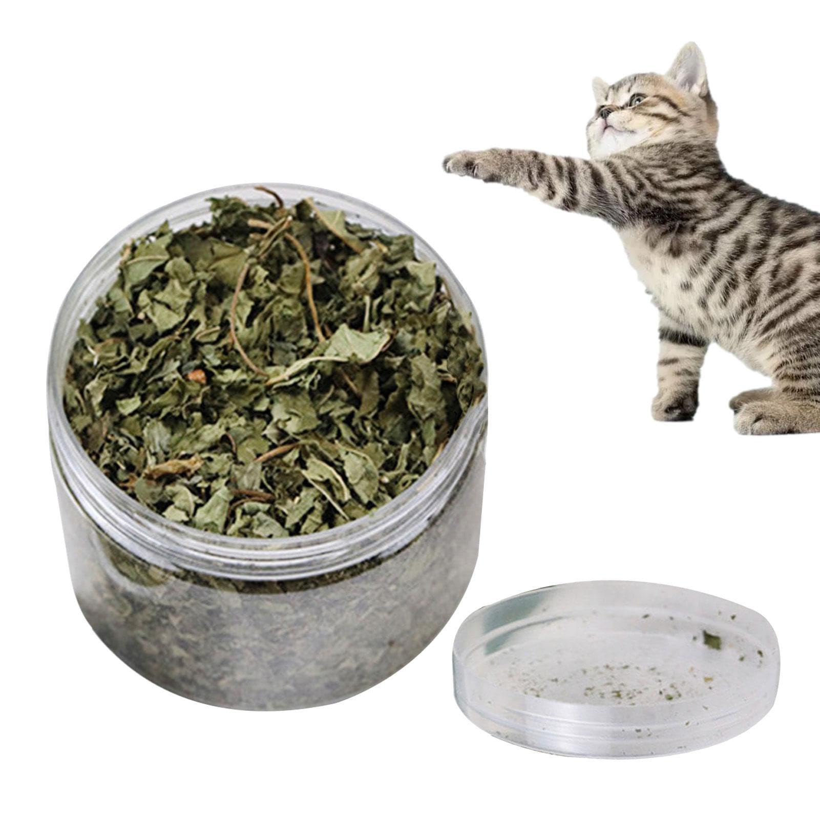 Katzenminze lose - 40g echte natürliche Katzenminze | Echte natürliche Blätter Katzenminze, Gesunde Katzensnacks zur Zahnreinigung, Haarentfernung, Mundgesundheit und Stimmungsregulierung