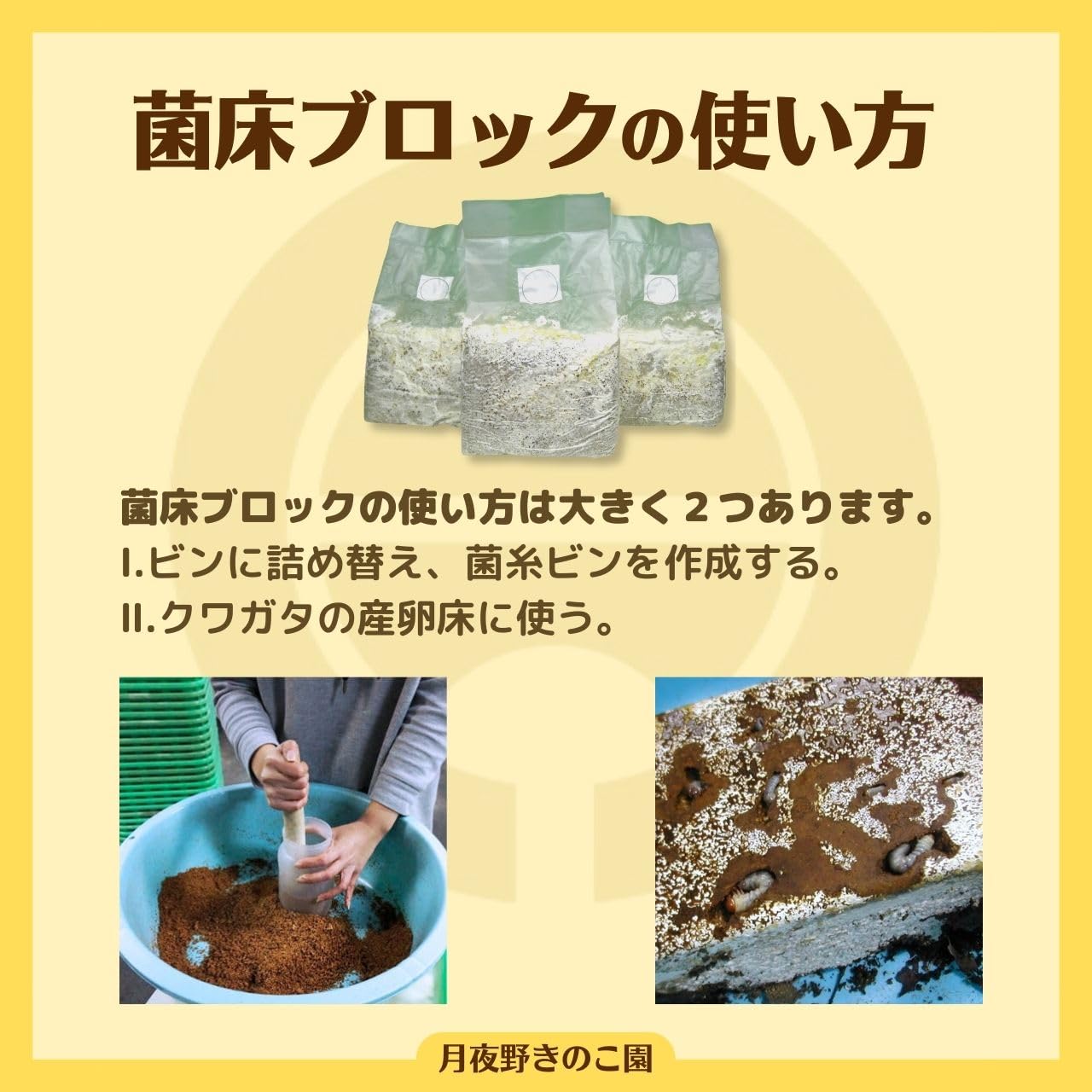 Amazon | 月夜野きのこ園 Basic 菌糸ブロック クワガタ幼虫飼育
