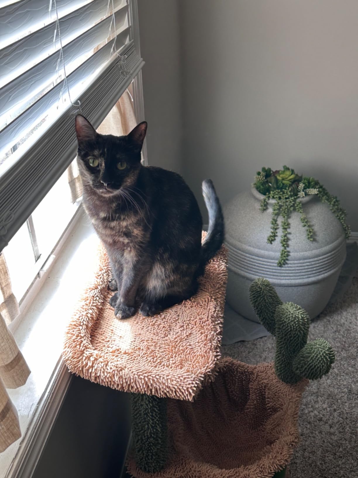 Hidden Litter Box Planter Base Kits