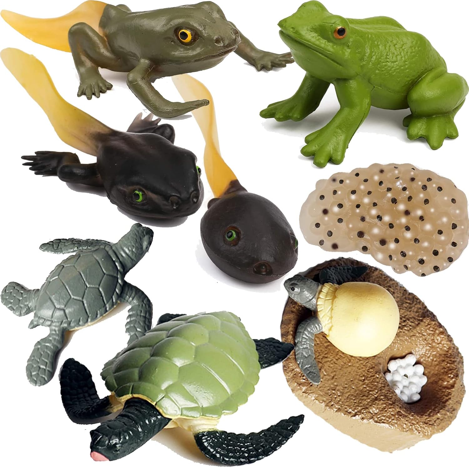 Gemini&Genius Life Cycle of Frog and Sea Turtle Toys, Insect Growth Diary Action Figures, Super Fun for Learning Gifts, Party Favors, Treasure Box Prizes, Goodie Bag Fillers, Family Fun(9Pcs)