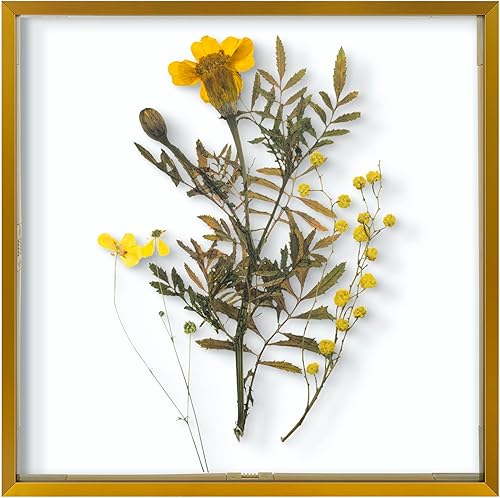 Vista 43 de Frametory, Marco de fotos flotante de 8 x 10 pulgadas, marco de fotos de metal de aluminio negro, cristal real de la parte delantera, para pantallas