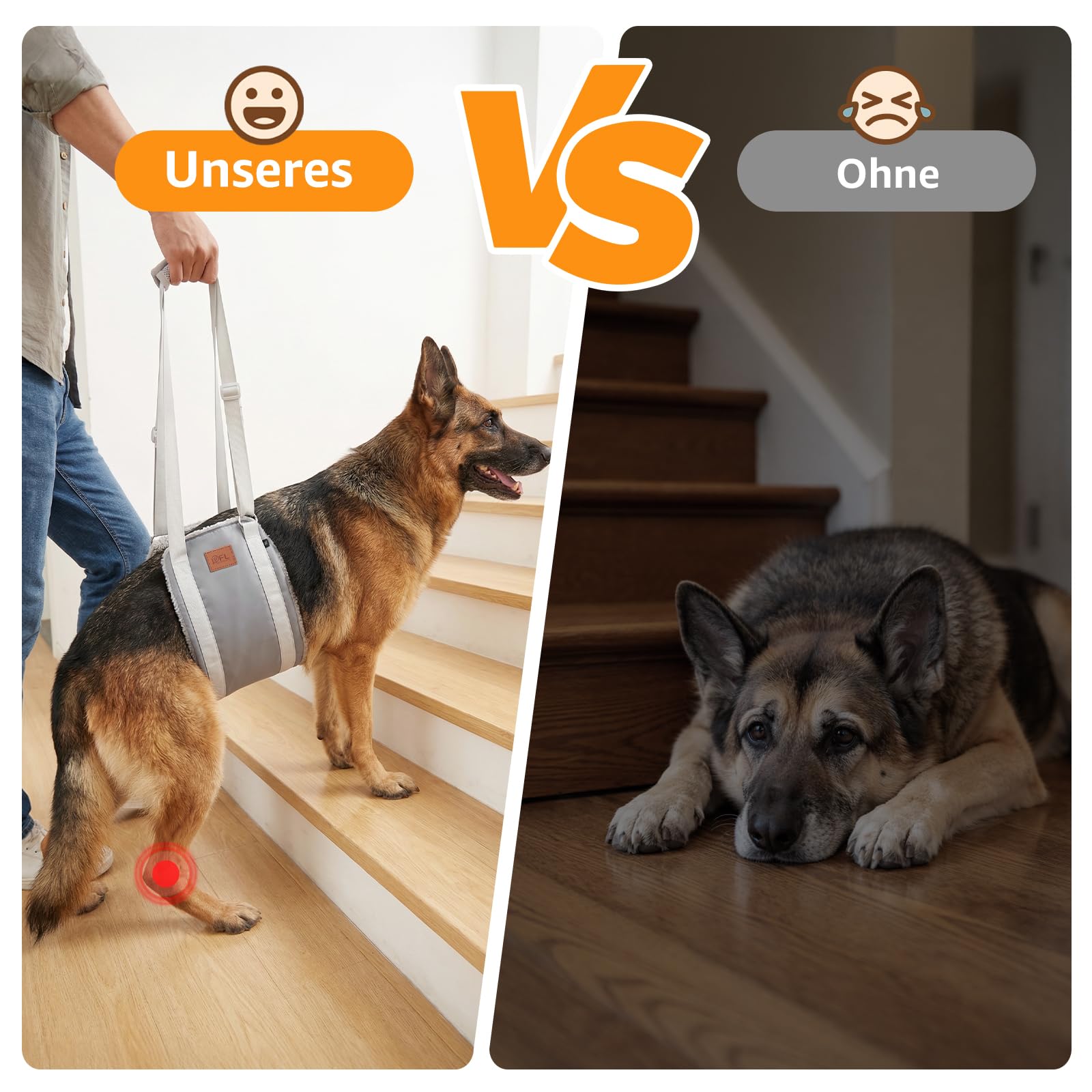 Aide au transport pour chien