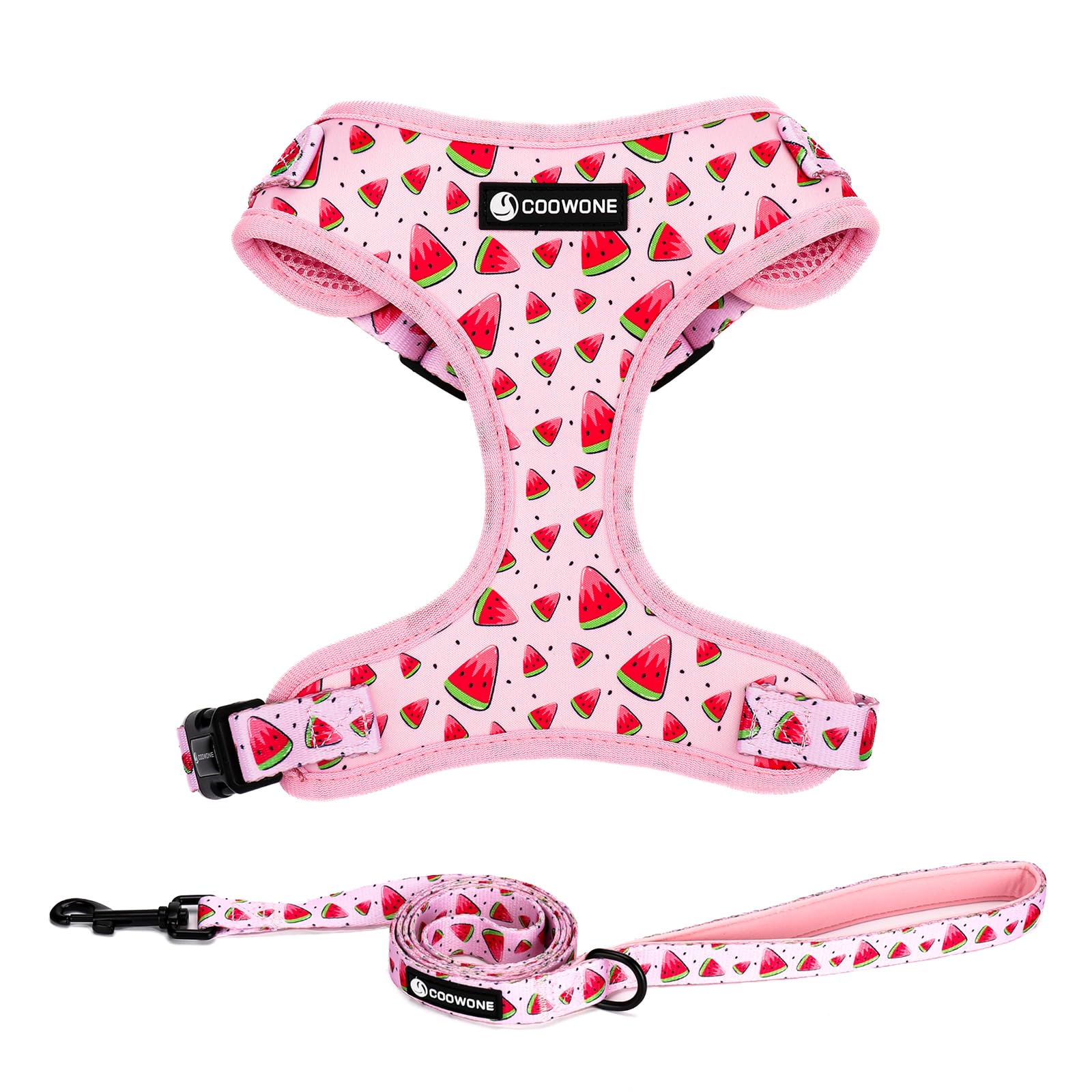 COOWONE Dog Leash and Harness Set, Soft Lightweight Mesh Step-in Puppy Harness, No Pull No Choke Adjustable Puppy Harness for Small Medium Dogs