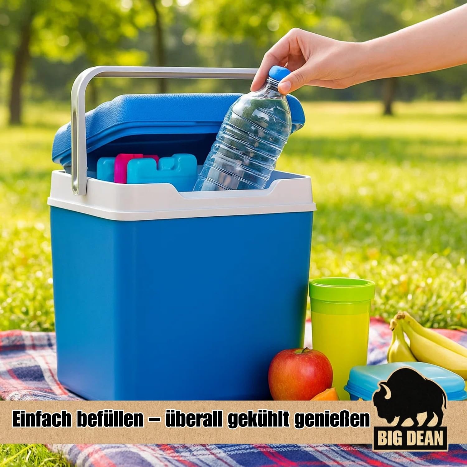 Kühlbox inkl. 12 Kühlakkus 24 Liter Kühlbox mit Akku für bis zu 11 h Kühlung