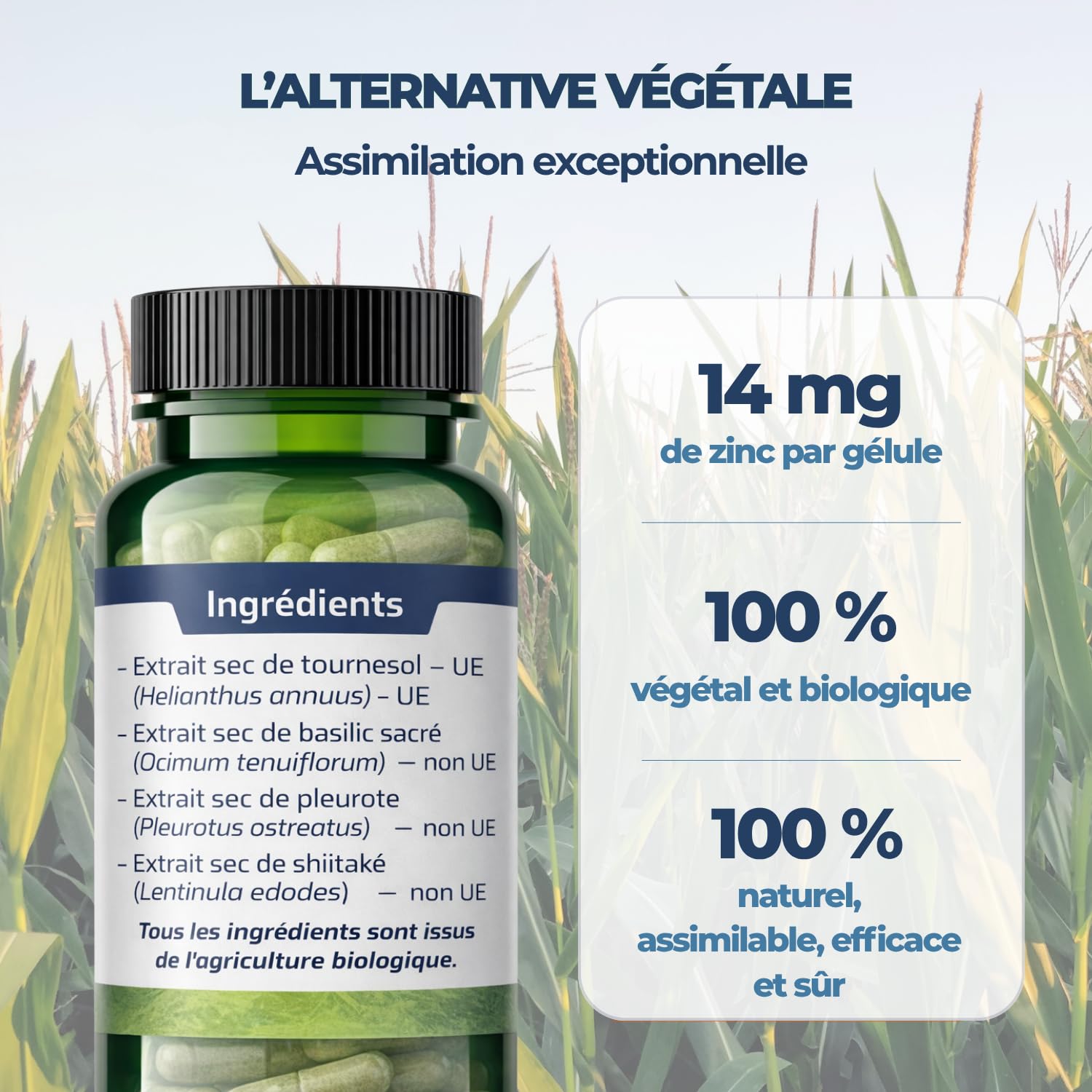 Biophénix - Zinc Bio 30 gélules - Procédé Exclusif Extraction Intégrale® - Complément Alimentaire 100% Naturel à Base de Végétaux - 0% Excipien - Nouvelle formule - Fabriqué en France - Vegan