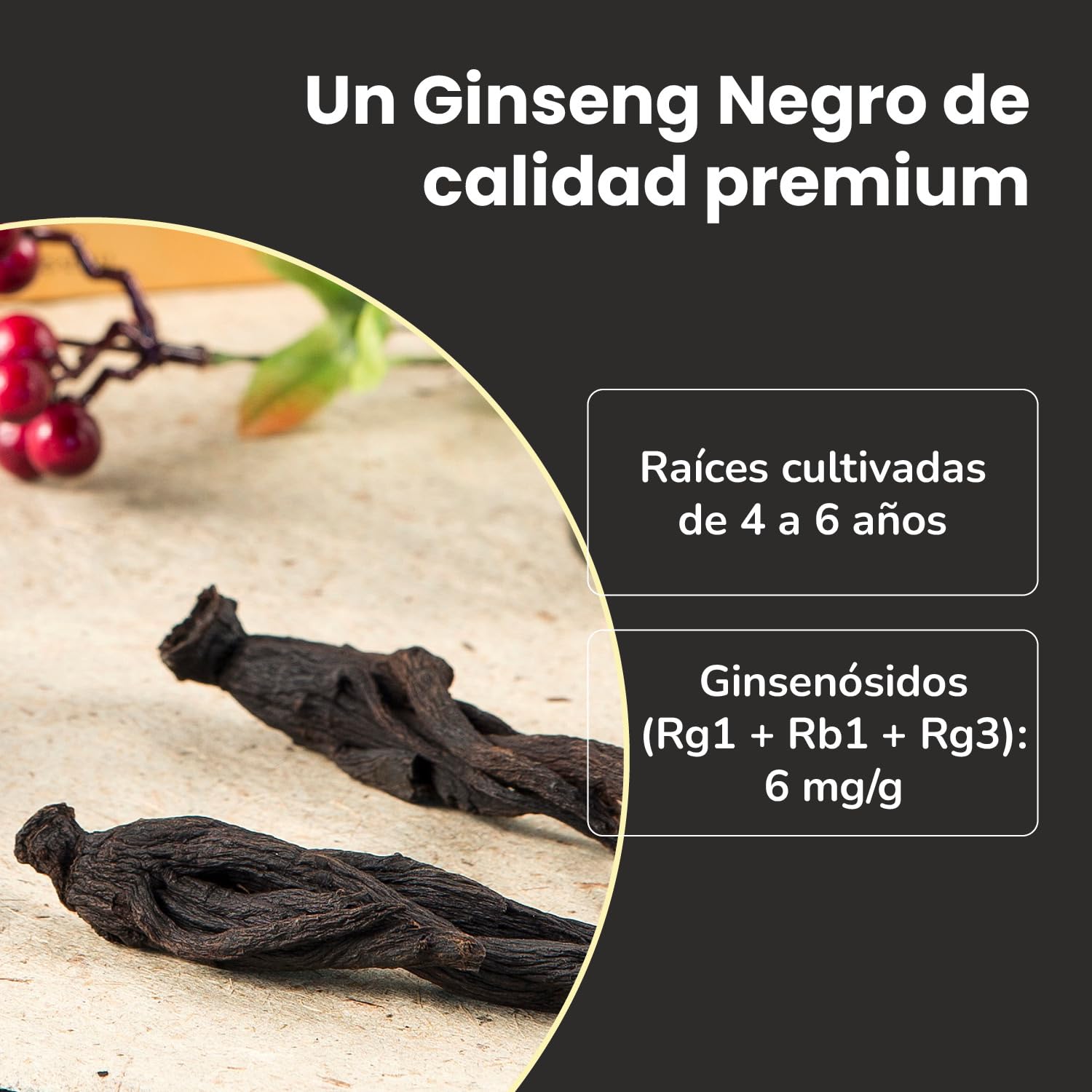 SAMSIDAE - Extracto de Ginseng Negro Coreano, Refuerzo en Ginsenósidos, Saponinas 80 mg/g, Raíces de 4 a 6 Años, 45 Días, 50g