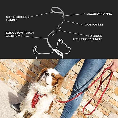Miniatura 3 de EzyDog Zero Shock LITE - Correa elástica para perros que tiran o excitan, doble asa y reflectante para perros medianos o pequeños (72 pulgadas,