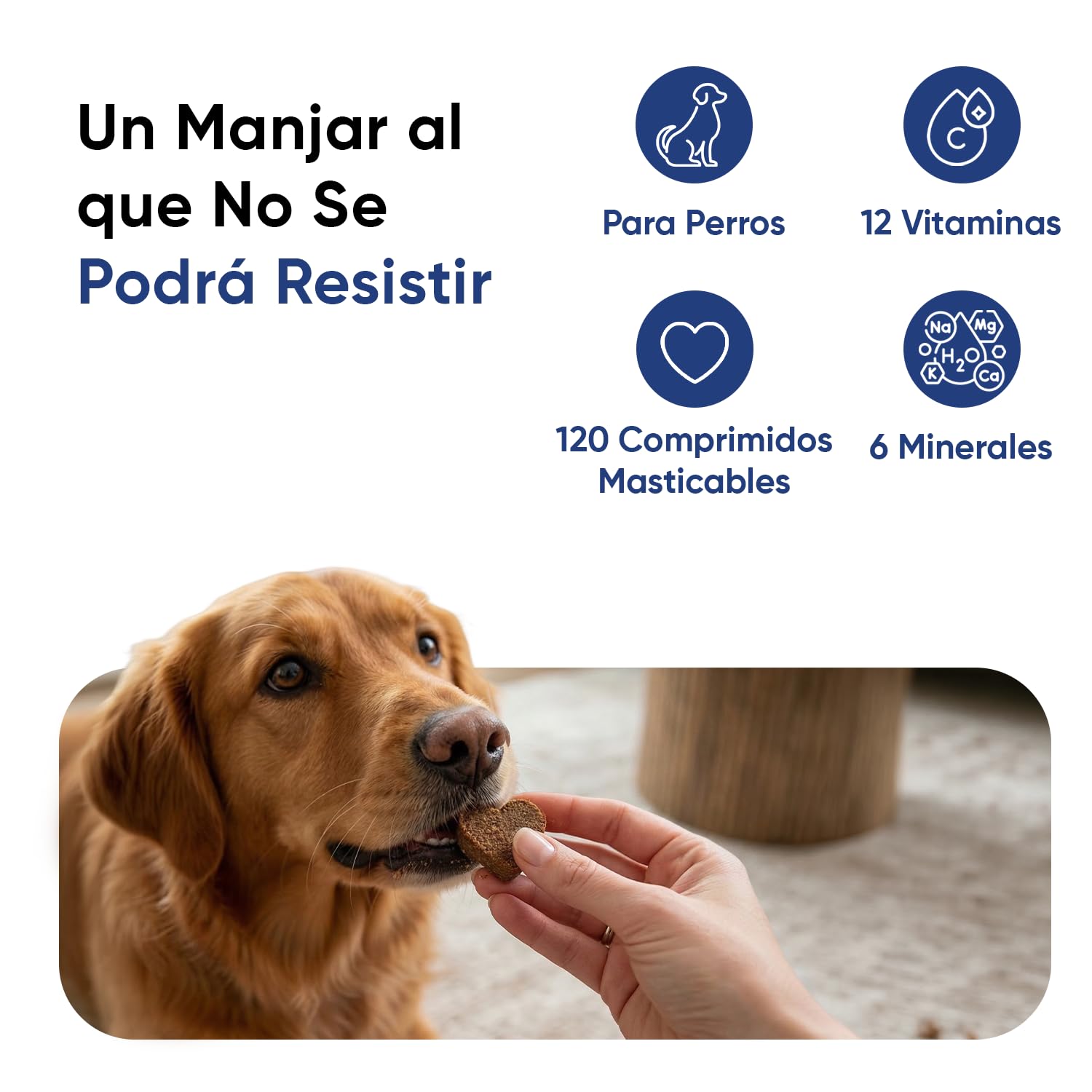 Multivitaminas y Minerales para Perros - 120 Masticables, 18 Vitaminas y Minerales para Apoyo Inmunológico, Piel, Pelo y Articulaciones - Ideal para Todas las Razas y Tamaños, Mayores y Cachorros