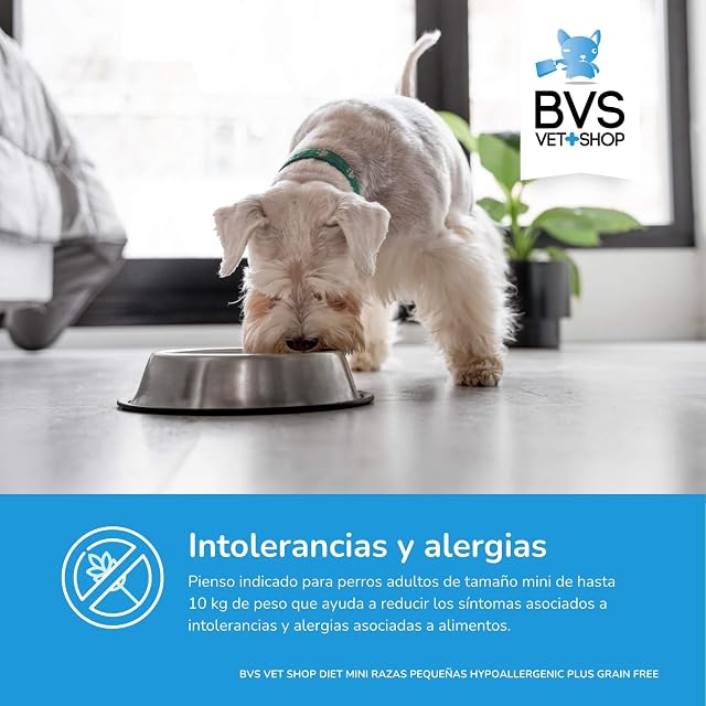 Foto 2 de 8 de BVS Vet Shop