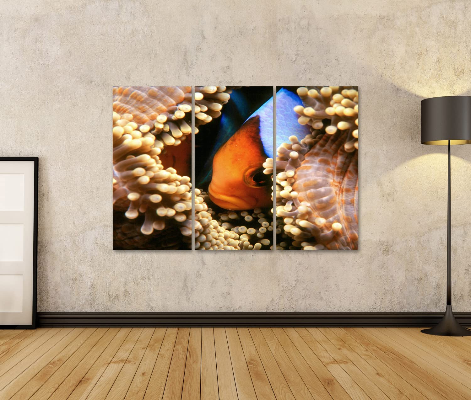 islandburner Prime Bild auf Leinwand Nemo Clownfisch Anemonenfisch Aquaristik Landschaften Städte Bilder Wandbilder Poster