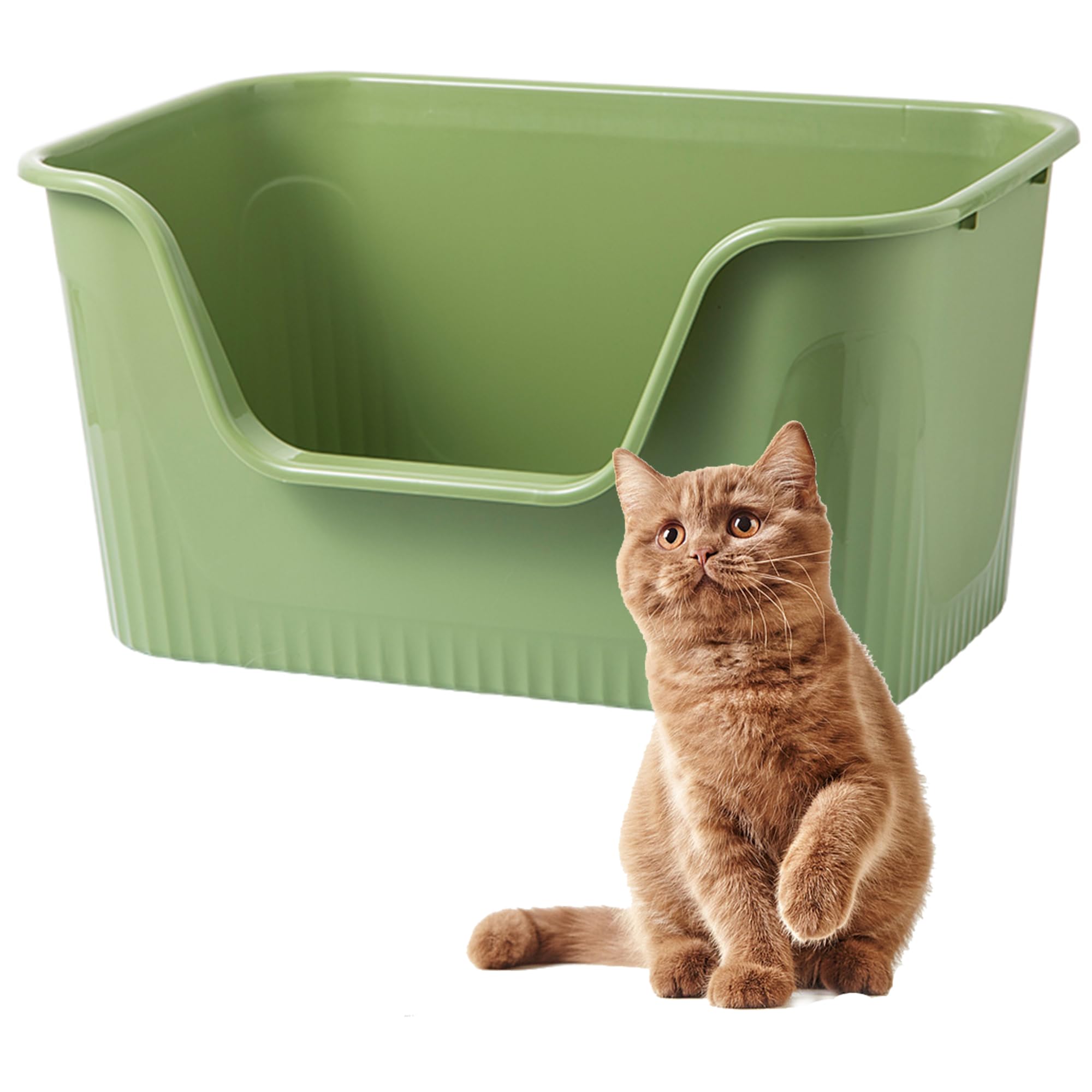 Vealind Grande Top Open Cat Litter Box con High Side Deep XL Lettiera Vassoio Soglia Bassa Pet Anti-Spillage con No Mess Litter Pan
