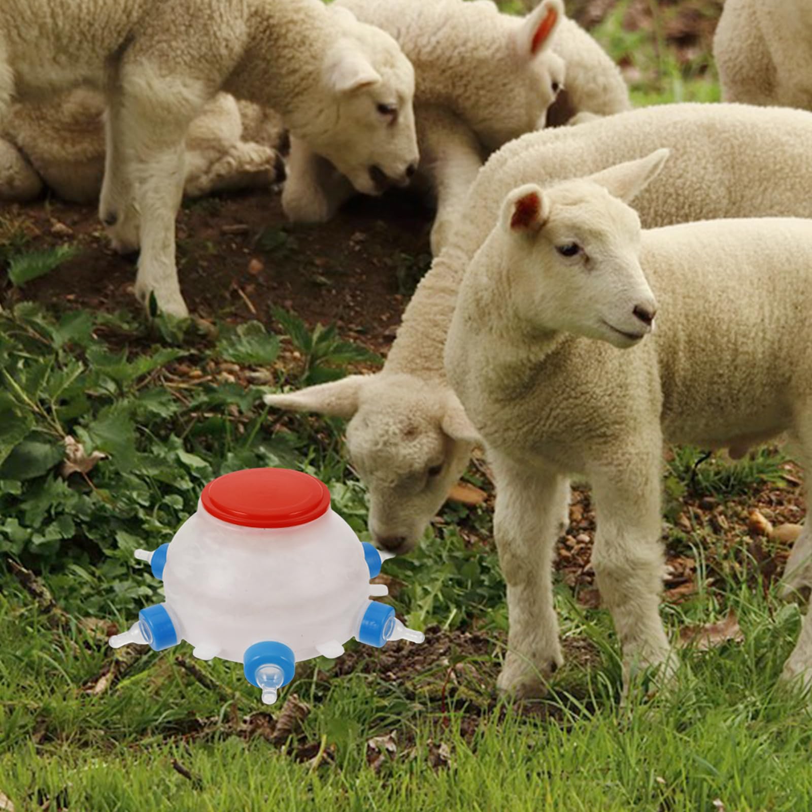 ULTECHNOVO Biberon per Agnelli in Plastica Bianco da 2,5 per Piccoli Animali, Alimentazione Efficiente e Multifunzionale per Allevatori in Fattoria