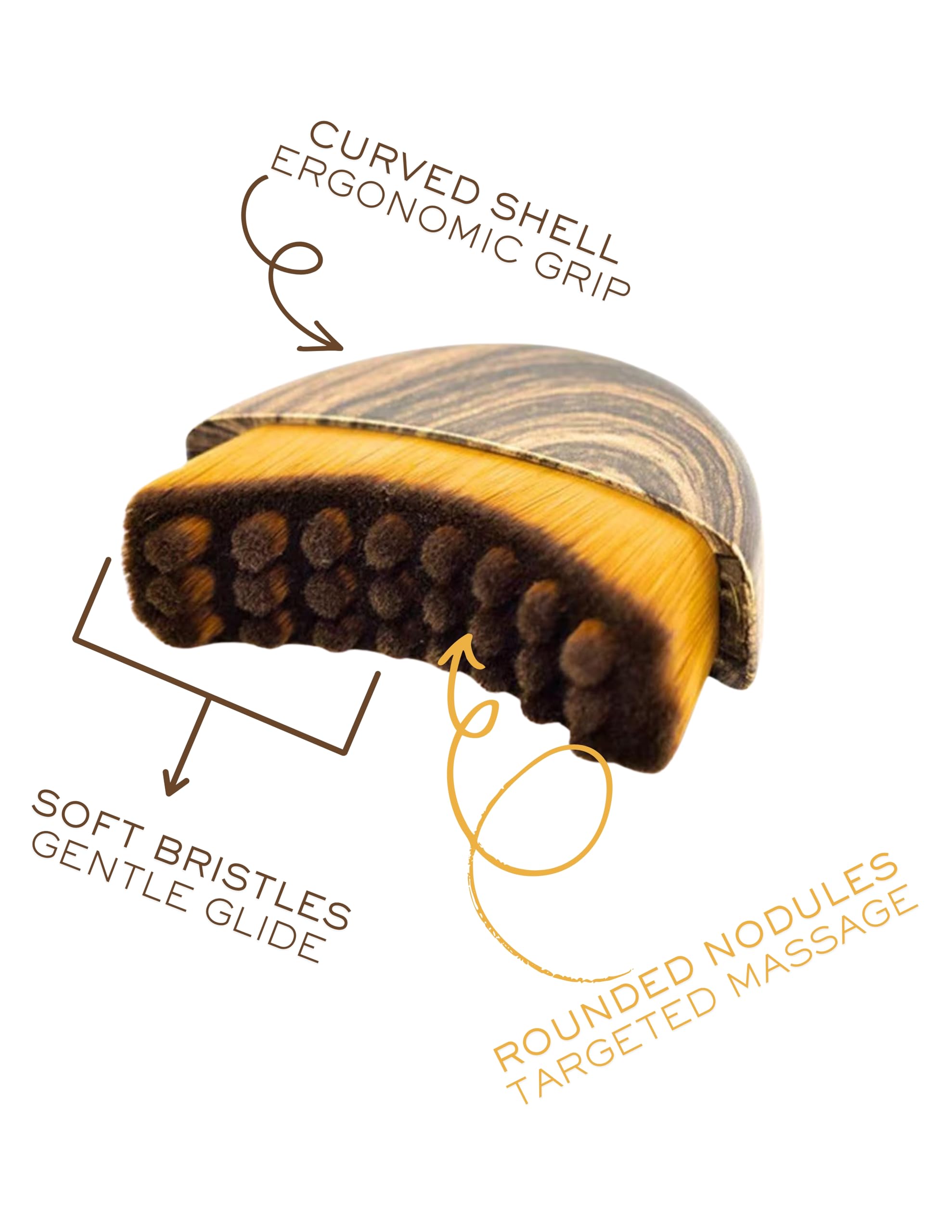 Lymphatic Contour Face Brush – Ergonomic Handle | Facial Sculpting, Puffiness Reduction & Glow-Boosting Massage | Dry Brushing for Jawline, Cheeks & Neck | Boost Circulation & Radiance