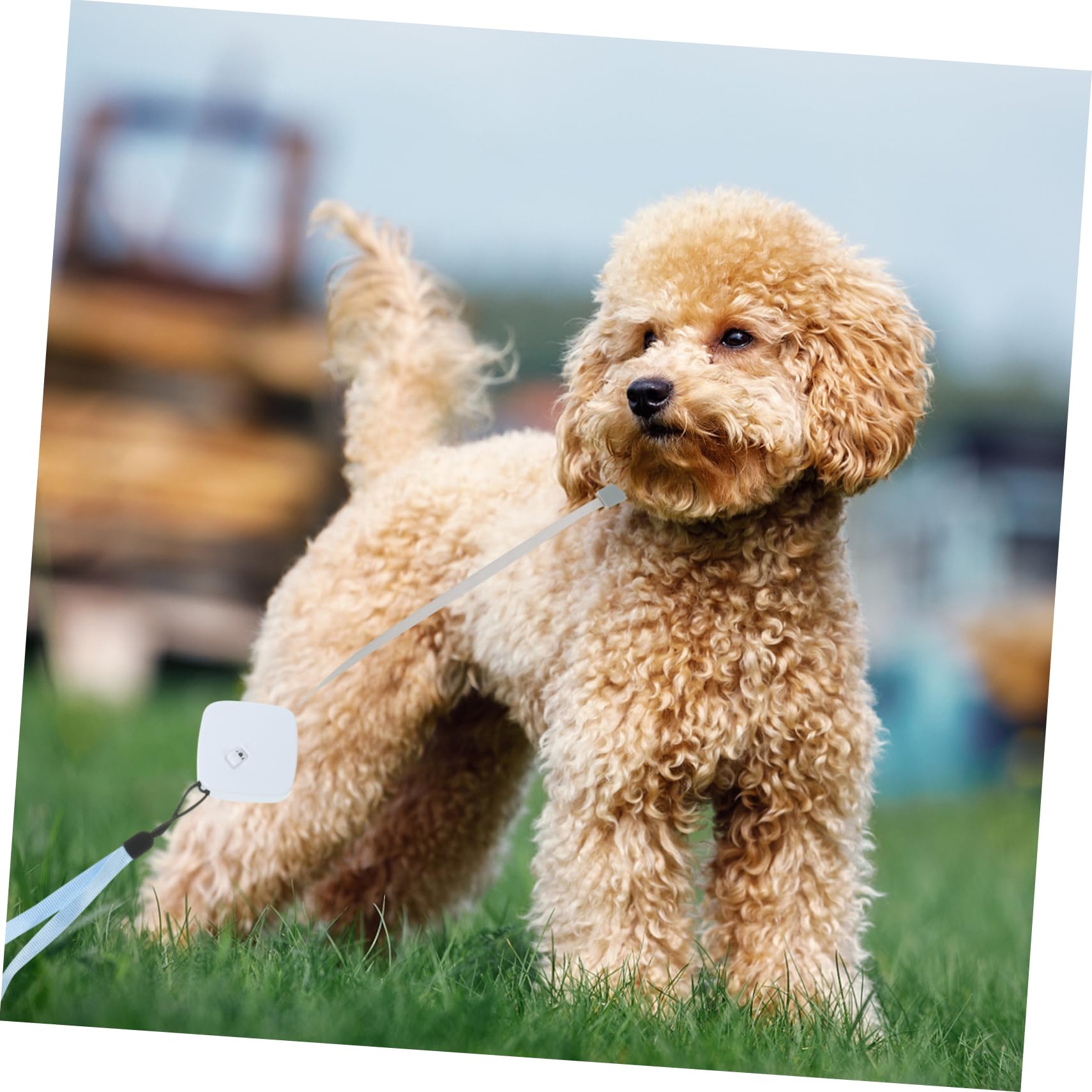 BESPORTBLE Guinzaglio Per Cani Dal Design Ergonomico Retrattile 4 Pezzi Lunghezza 2 M Leggero Facile Da Trasportare Per Cani Di Tutte Le Taglie