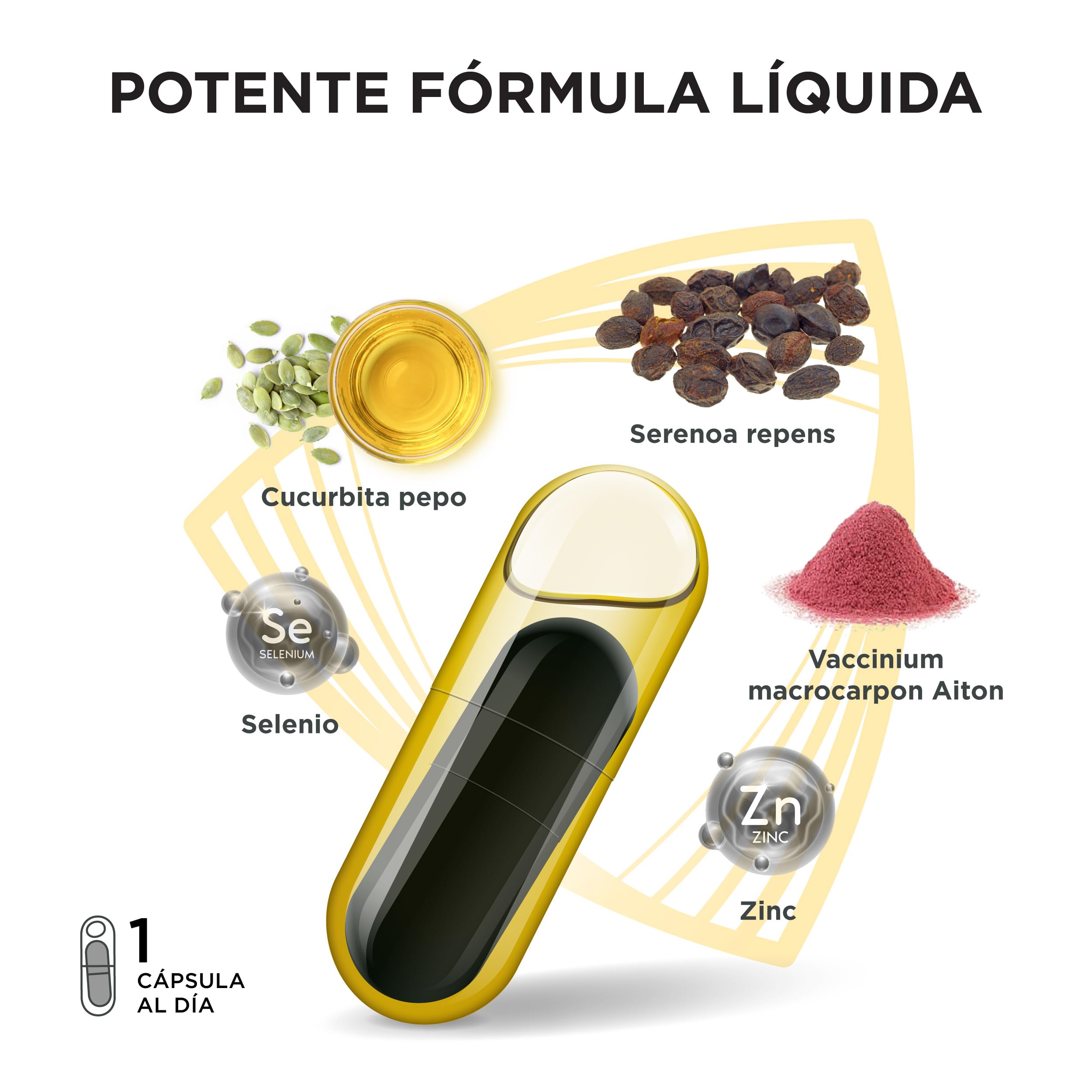 Innovación para una próstata sana. Una potente fórmula líquida de triple acción. Cucurbita pepo, Serenoa repens, Flowens®. 1 cápsula al día. Probado en laboratorio (Pack de 1 unidades)