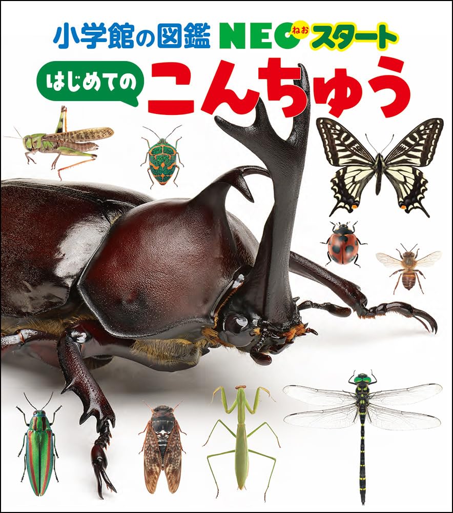 Amazon.co.jp: NEOスタート はじめての こんちゅう (小学館の図鑑NEO
