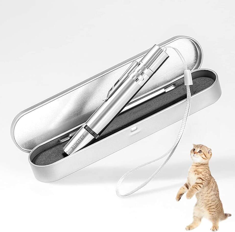 Amazon.ca laser pointer