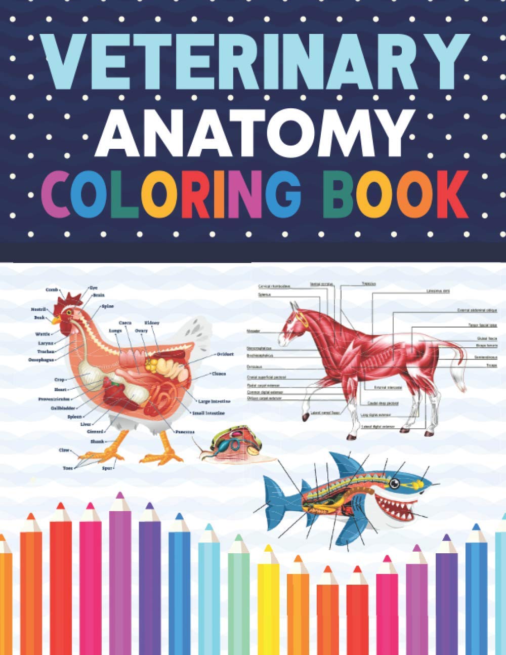 Veterinary medicine visual data 6