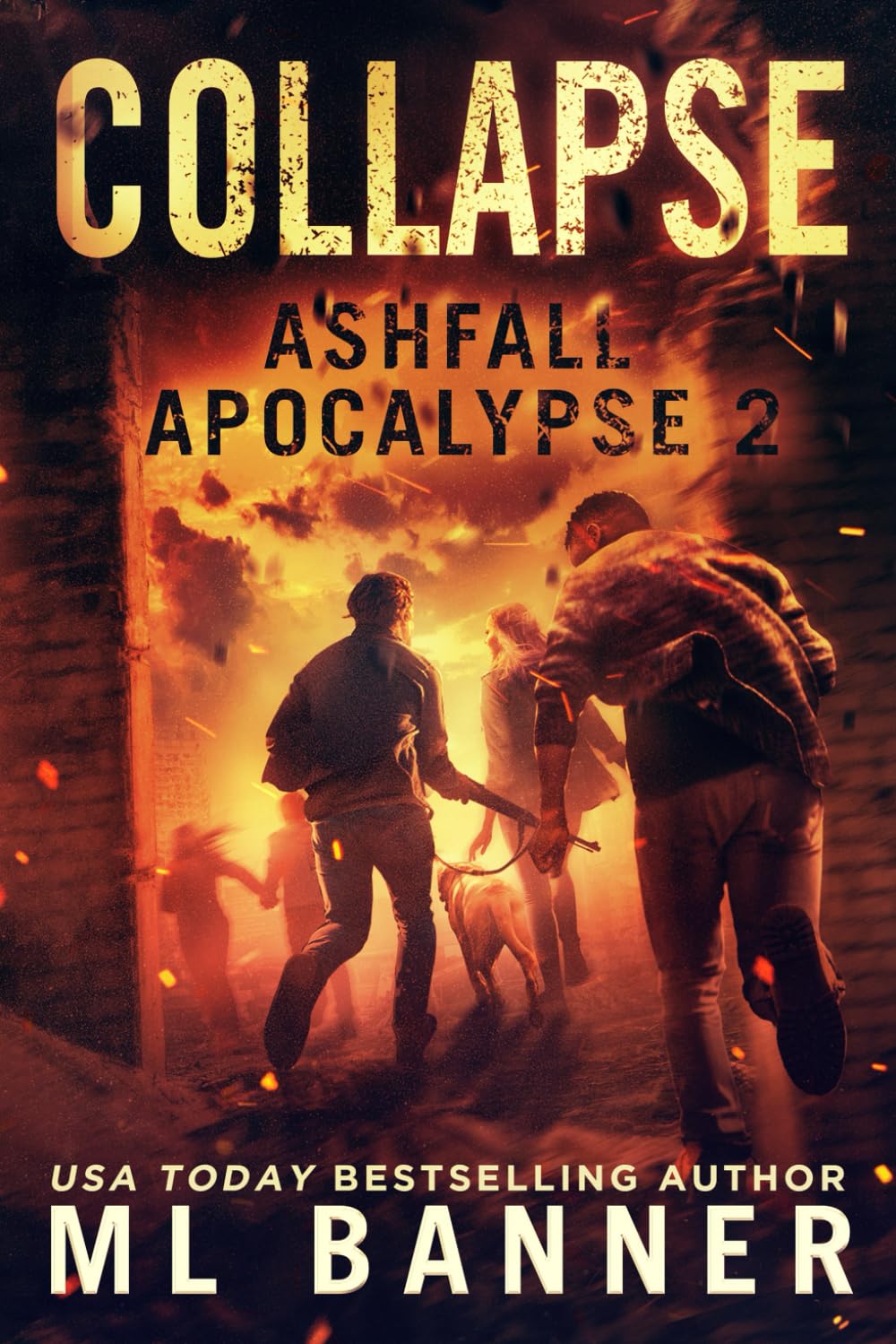 COLLAPSE: An Apocalyptic Thriller (ASHFALL APOCALYPSE)
