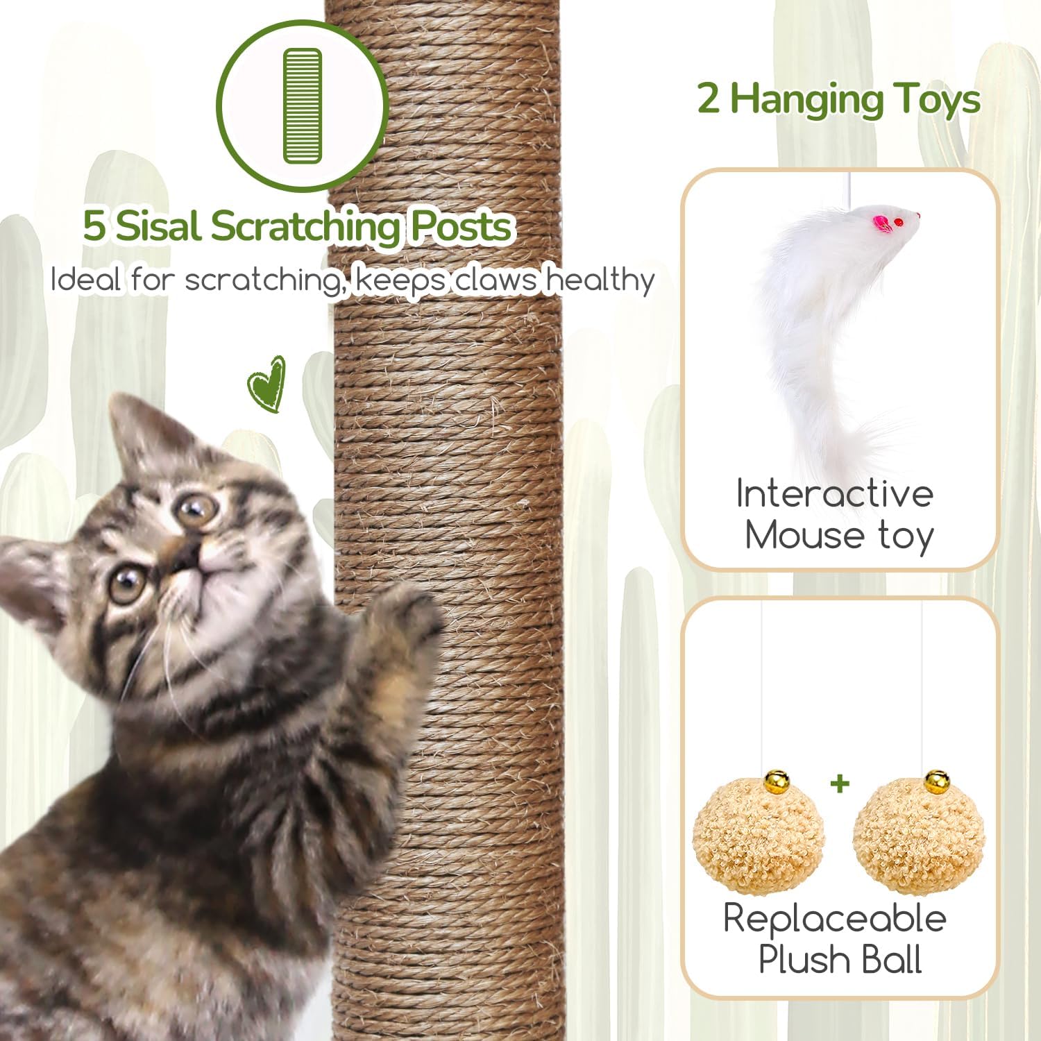 A kitten scratching a sisal post and images of hanging toys