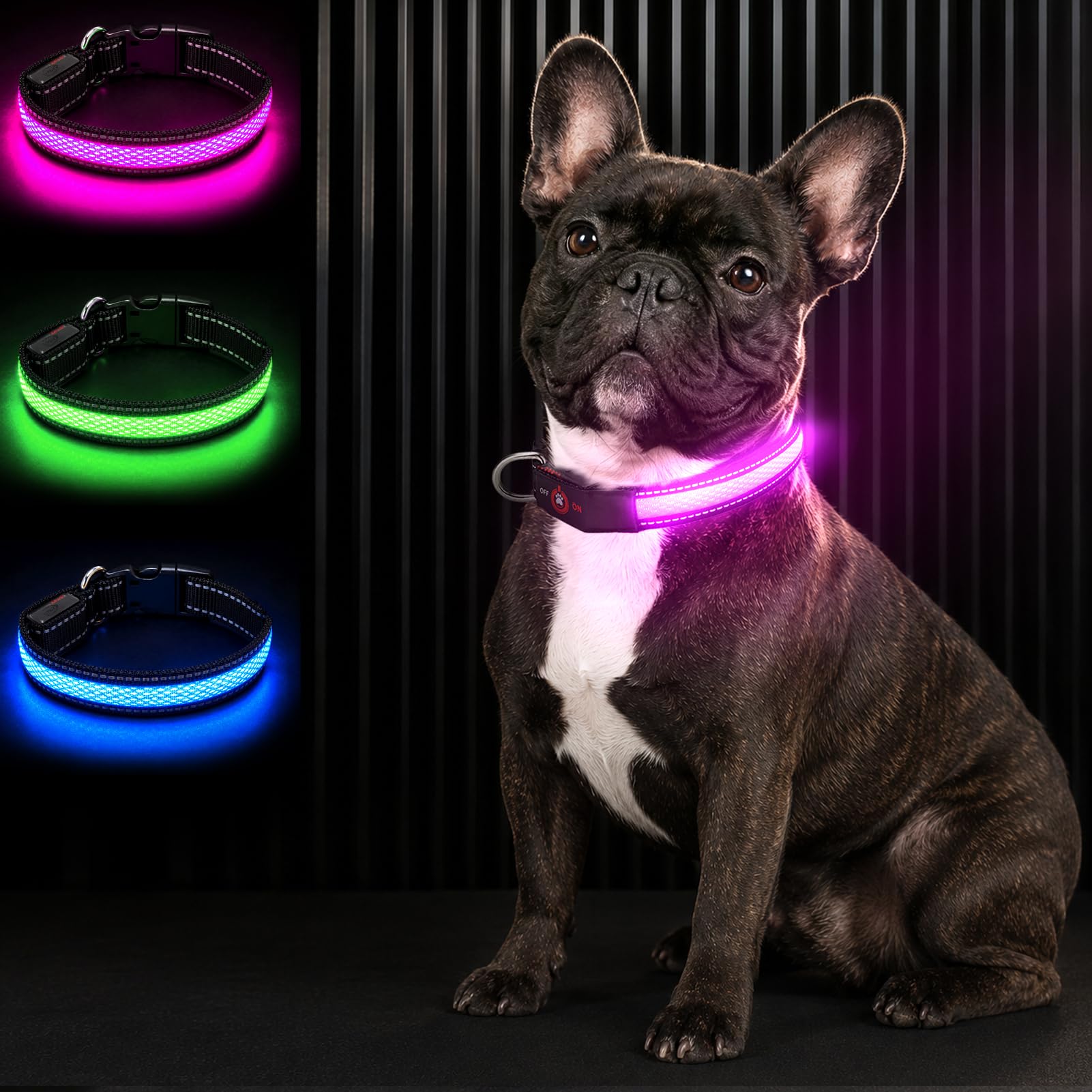 Bamda LED Light Up Dog Collar for Small Dogs & Cats, Pink S
