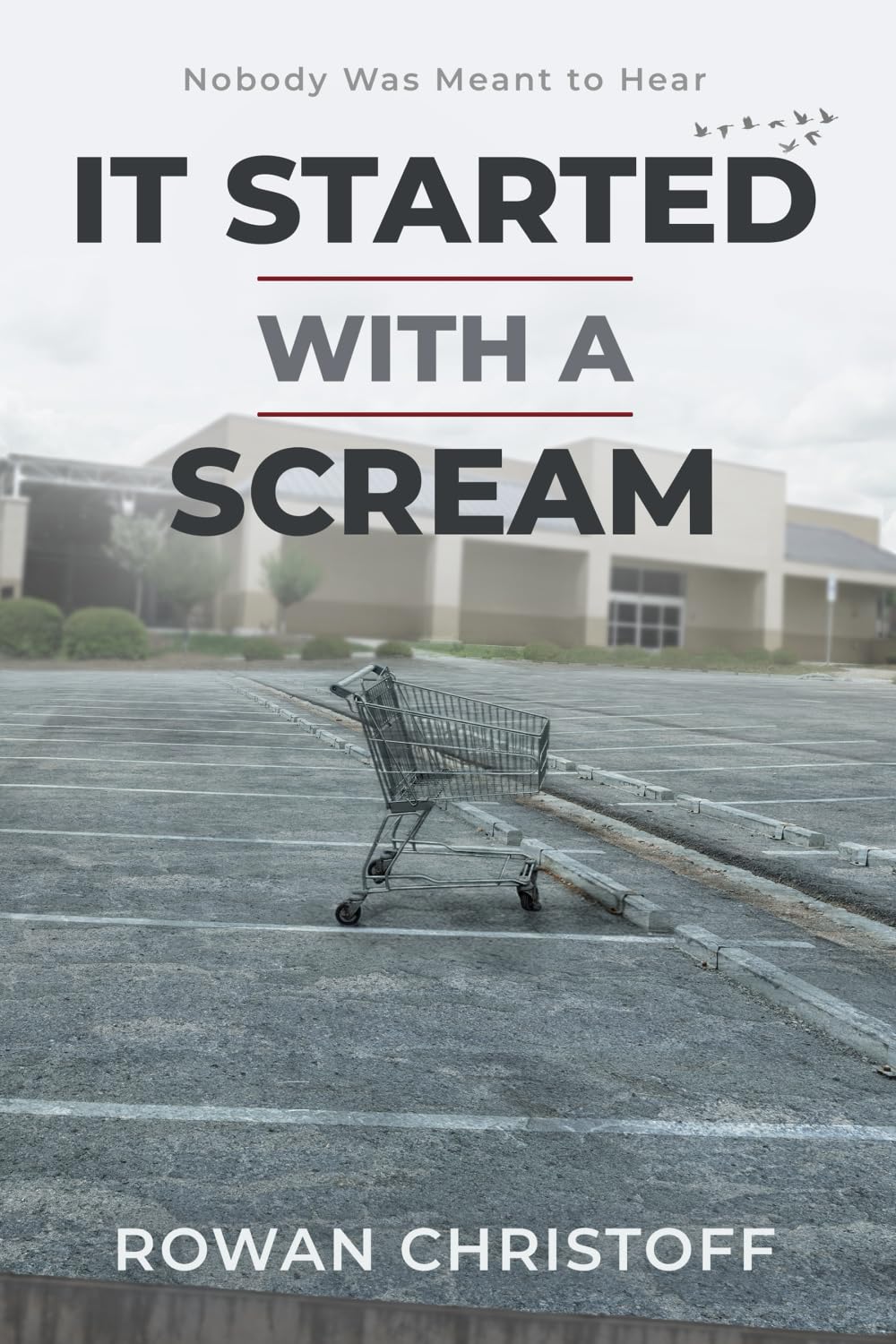 It Started With a Scream: Nobody Was Meant to Hear (The Rage Trilogy)