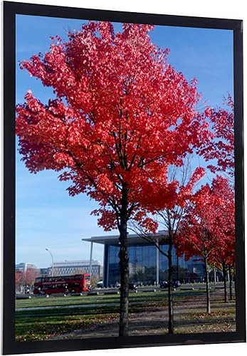 Miniatura 6 de Medog - Portarretratos de 10 x 12 pulgadas para pared, color negro, marco para exhibir fotos 10x12, certificados y documentos, para colgar en la