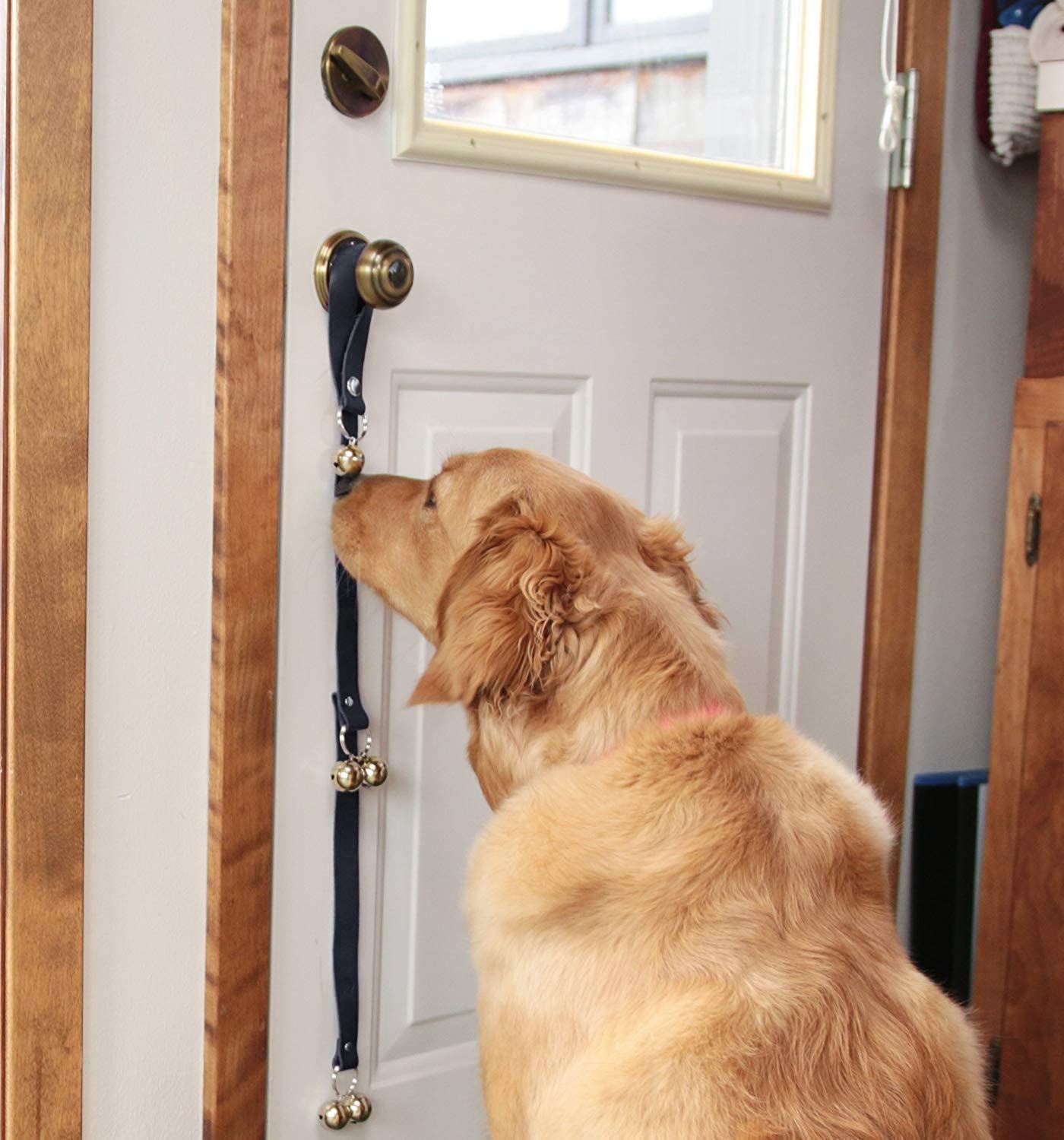 Leder Hund Türklingeln für Türknauf/Töpfchentraining/Go Outside, Längenverstellung Kupfer Hundeglocke, Haustraining Hängende Glocke, Schwarzes Leder Silberglocken