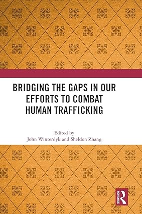 Bridging the Gaps in Our Efforts to Combat Human Trafficking book cover