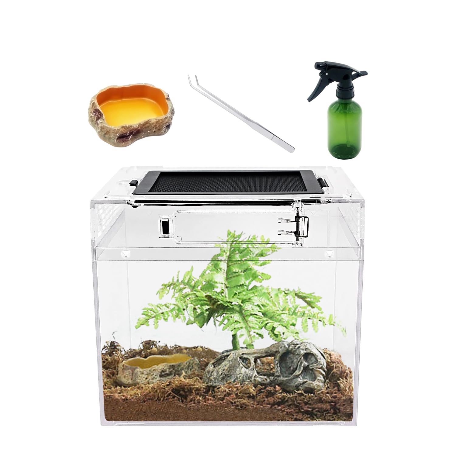 Mini Reptile PC Terrarium,8x8x8 inch Amphibian Tank Starter Kit Habitat Cage，for Insect，Fish，Tarantula，Turtles，Jumping Spiders and Small Reptiles