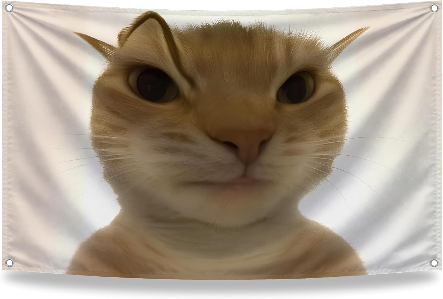3x5 Feet Hilarious Cat Meme Flag with Four Brass Grommets - Single Sided Tapestry Posters with Cute Animals - Polyester Wall Durable Flags for Apartment Aesthetic Decor - Comical Banner for Room Kids