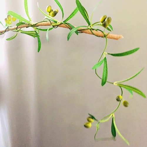 Miniatura 2 de Guirnalda de hojas de olivo artificiales con hojas colgantes de hiedra de olivo, enredaderas, ramas de olivo, guirnalda de vegetación para boda,