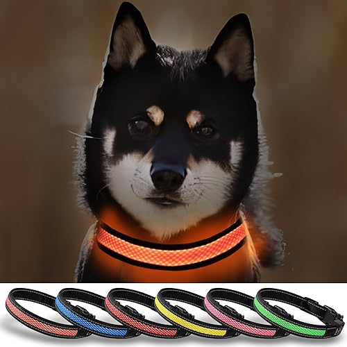Miniatura 9 de Glow - Collares recargables para perros, impermeables, para caminar por la noche, collares brillantes para perros pequeños (color rosa, paquete de