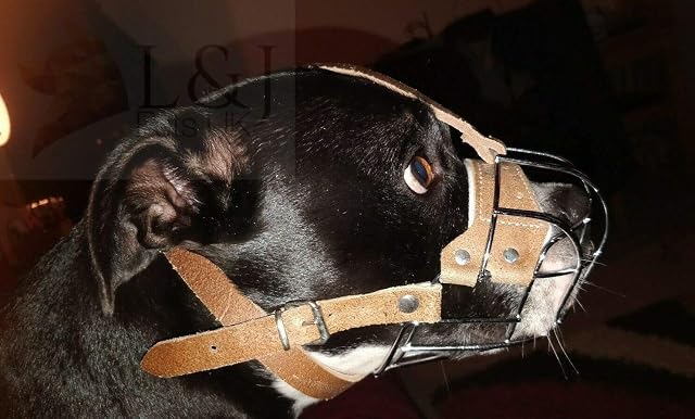 Foto 4 de 4 de Bozal fuerte para perro Staffordshire Bull Terrier Staffy, Staffie (B1, marrón)