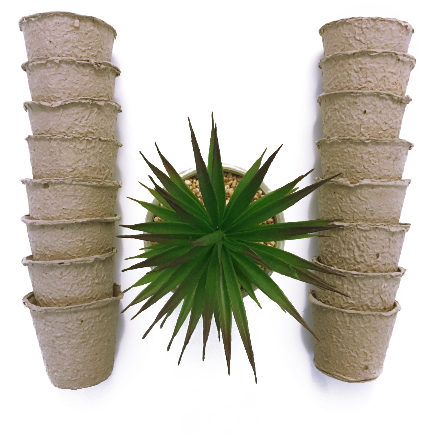 Seeds Starter Peat Pots, Pack of 24, Biodegradable Pots, Perfect for Seeding Carrots, Parsnips, Squashes, Cucumbers, Radishes, Beets and Peas