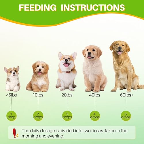 Miniatura 6 de Gotas de aceite de orégano para perros y cachorros, apoyo inmunológico natural para perros, aceite orgánico de gotas de orégano, apoyo para la salud