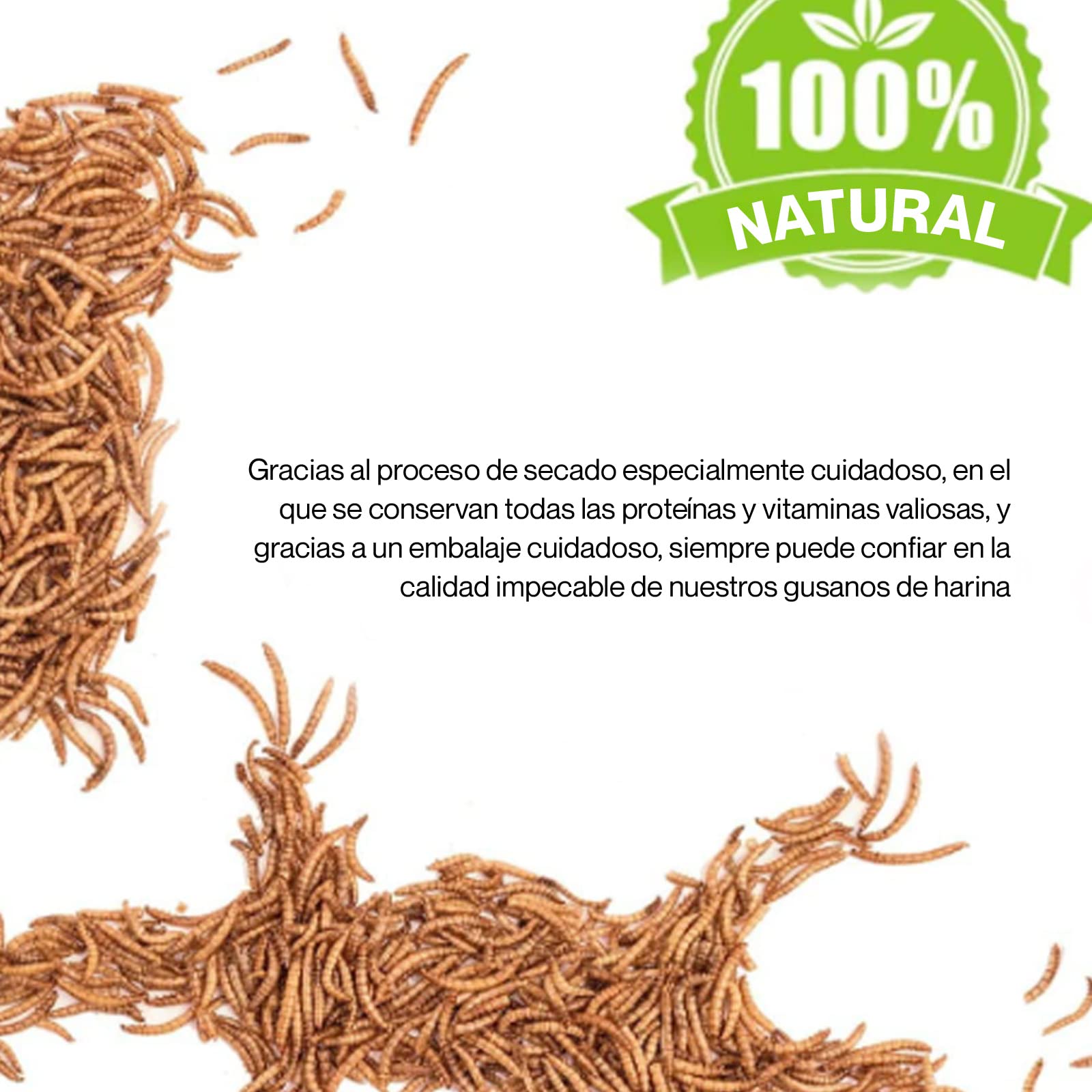Detox Organica Gusanos de la Harina 160g – Gusanos de la Harina Deshidratados 1L – Gusanos para pájaros disecados – 100% Natural