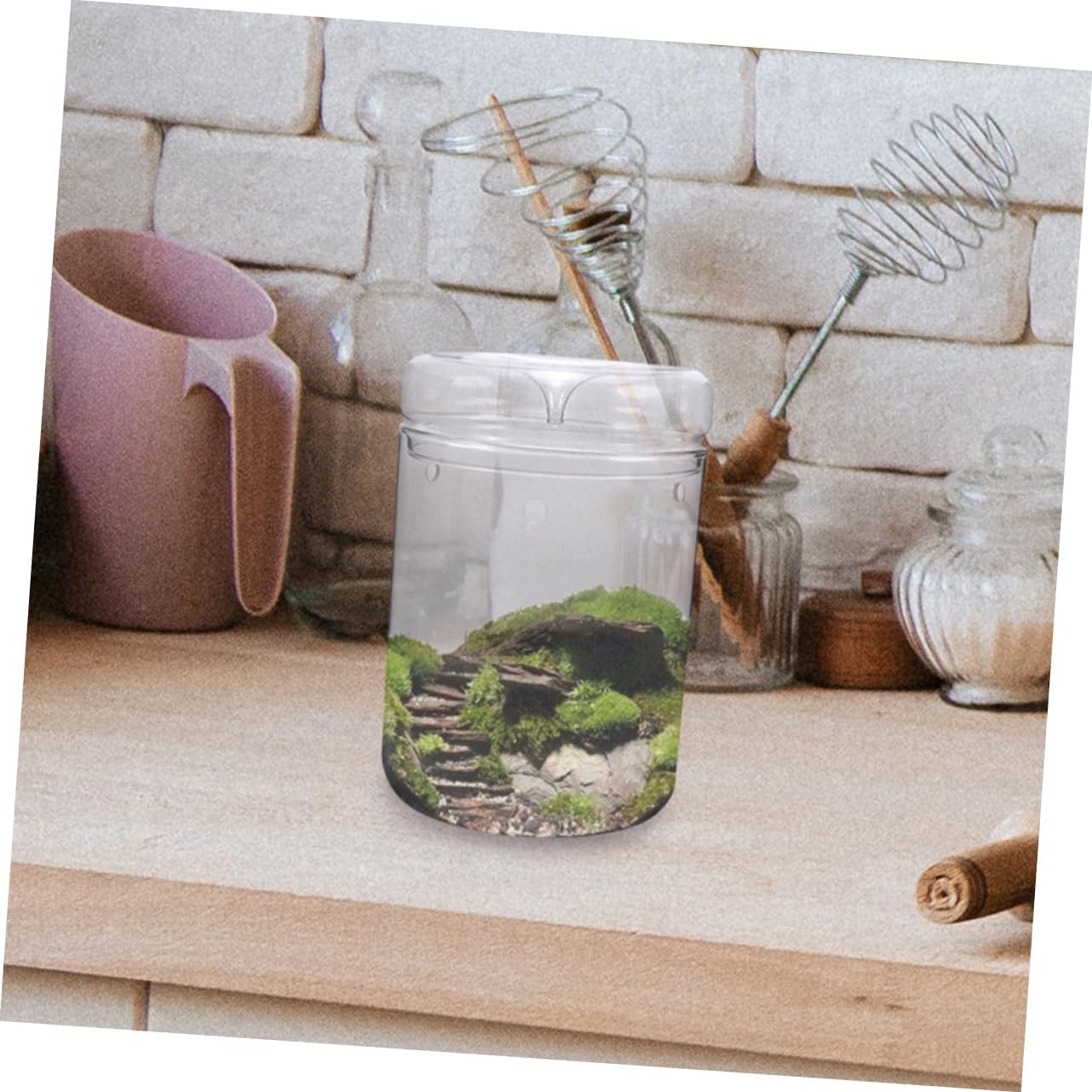 Glass Moss Ecological Vase Micro Landscape Planter Bottle Cottagecore Decor