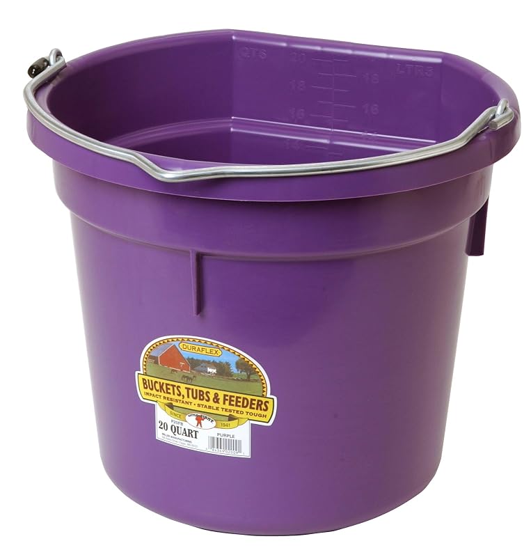 Balde para Alimentação e Água de Cavalos Little Giant com Fundo Plano, Alça Metálica, 75,7 L, Roxo