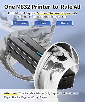 Phomemo Thermal Portable Inkless Printers A4 300DPI - M832 Black Kit